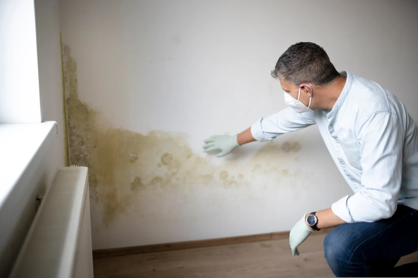 Stain & Odor Blocking Primers